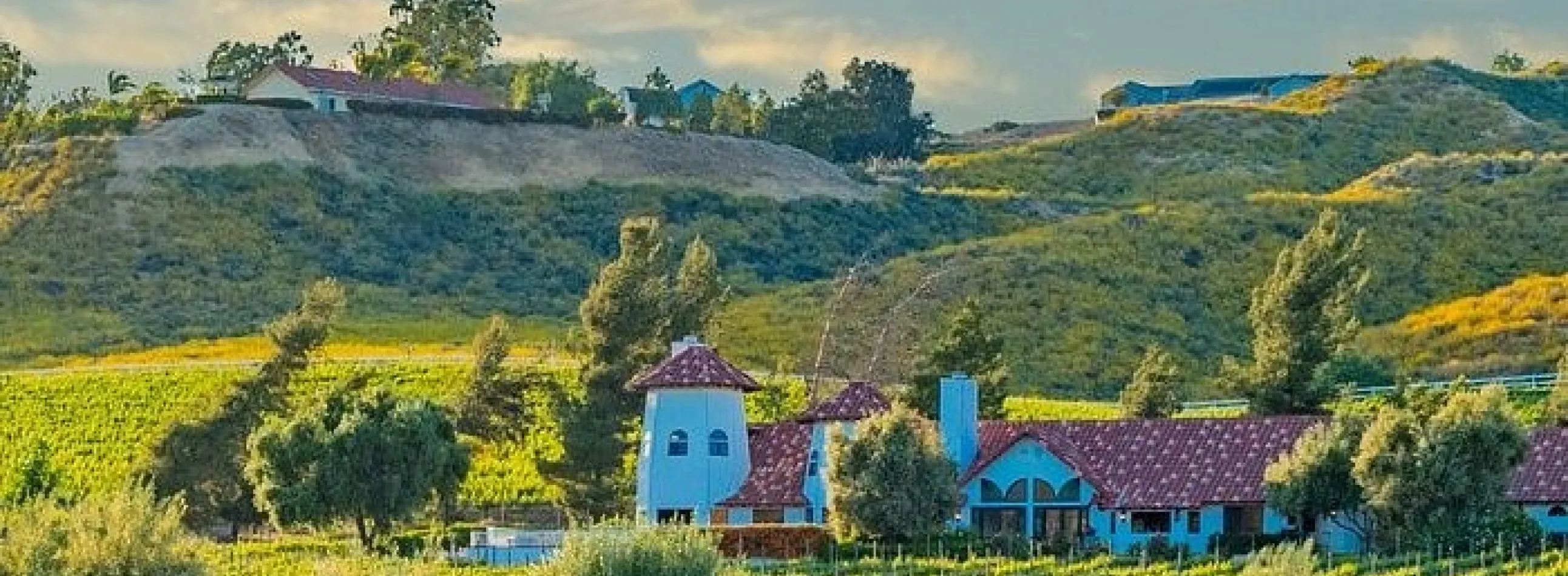 San Diego Winery