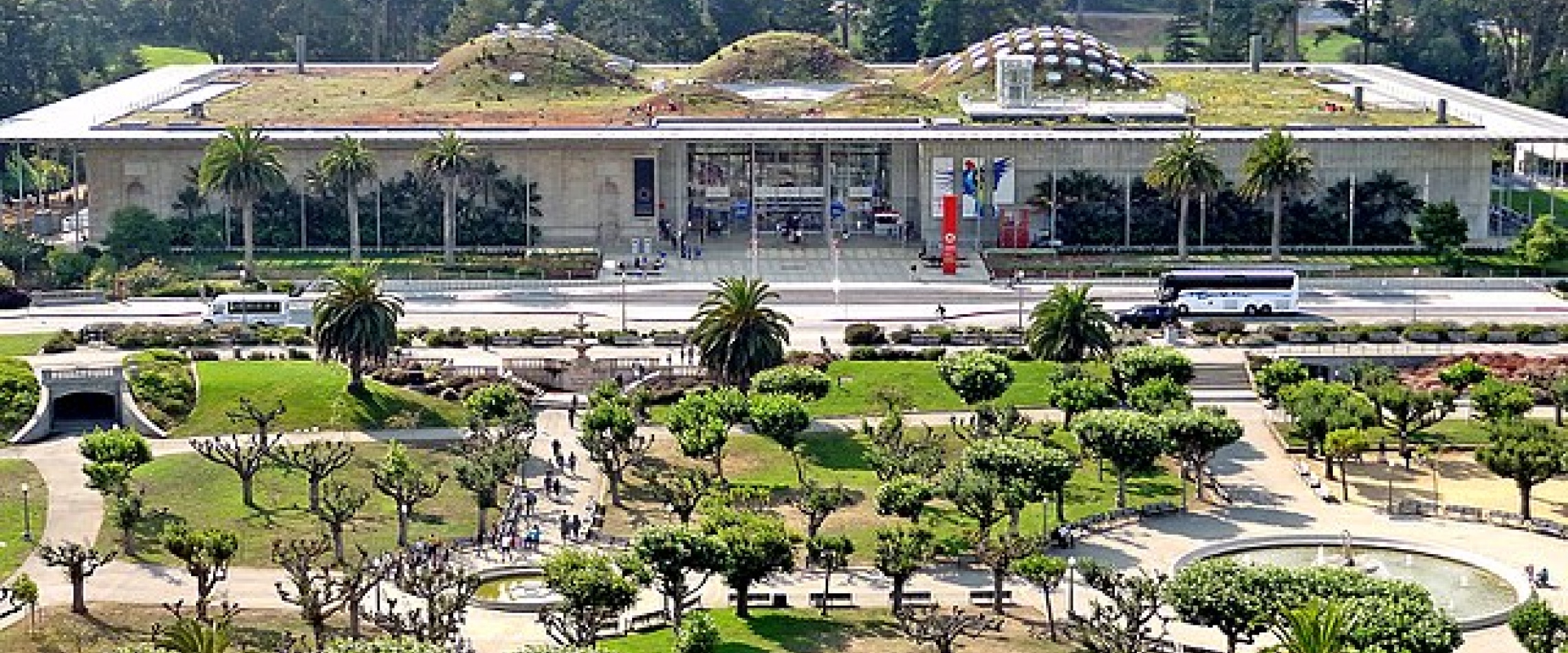 View from the top floor of the de Young Museum