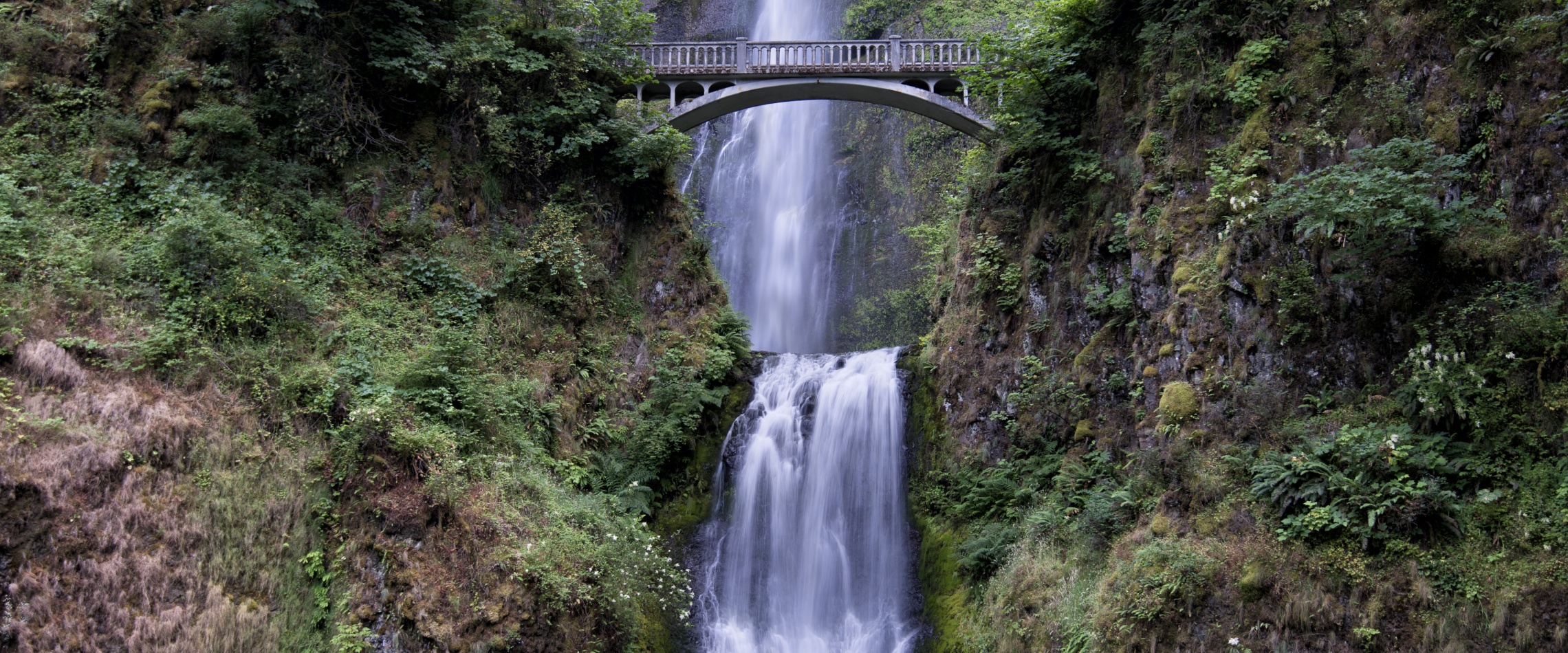 Oregon's tallest waterfall