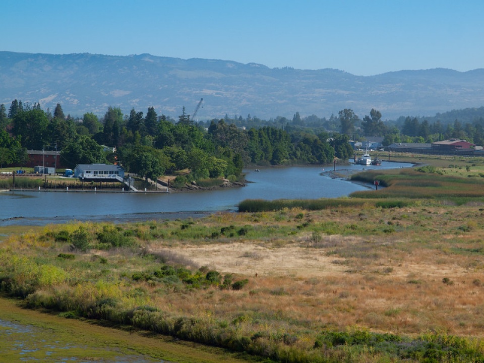 Napa River