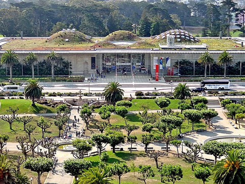 View from the top floor of the de Young Museum