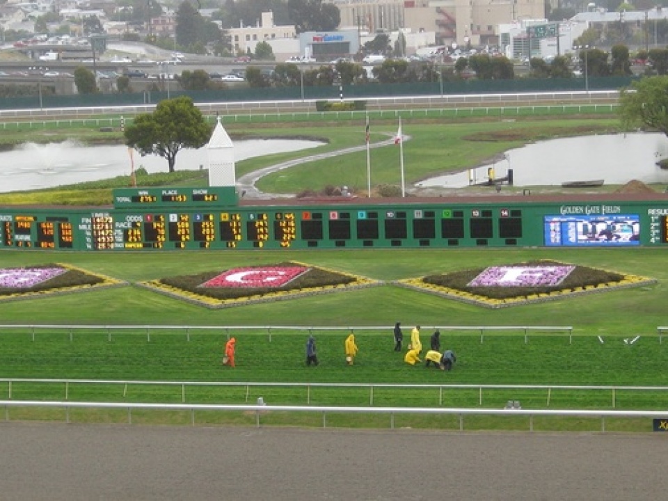 Golden Gate Fields